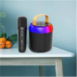 PTron Funk Mojo 16 W Bluetooth Speaker (Black, Mono Channel)