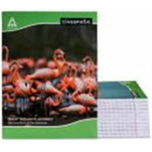 Classmate Notebook Regular Notebook Single Line 172 Pages (Multicolor, Pack of 12)