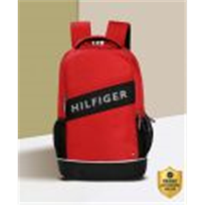 TOMMY HILFIGER Large 31 L Backpack Zander (Multicolor)