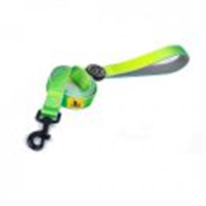 A+a Pets' Nylon Waterproof Leash | Neoprene Padded Handle for Dogs & Cats (Gradient Design, Small, Green/Blue)