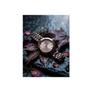 Marie Claire Women Brass Embellished Dial & Bracelet St..