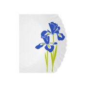 Cello Pack of 47 Opalware Dazzle Iris|Crockery Set|Blue..