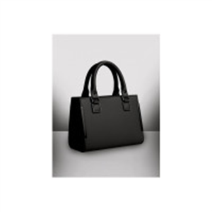 Kanish Shop Women Black Handbag