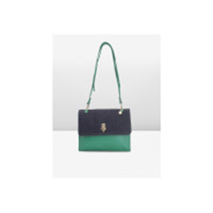 Caprese Taya Women Green Small Satchel Bag