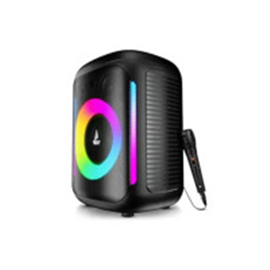 boAt PartyPal 30, 25W Signature Sound, RGB LEDs, Wired Mic for Karaoke, Up to 6H Battery, TWS Mode, Multi Connect, Bluetooth Speaker, Wireless Speaker, Portable Speaker (Premium Black)