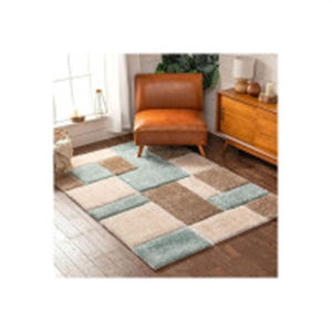 Shaggy Carpet for Living Room, Ultra Soft Fluffy Area R..