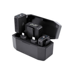 Audio Array AM-W15 Dual Wireless Mic with Charging Case..