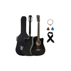 BLUEBERRY B-D38, Acoustic Guitar Kit Inbuilt Truss Rod..