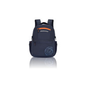 Aeropostale Backpack Basin | Durable 2-Compartment Lapt..